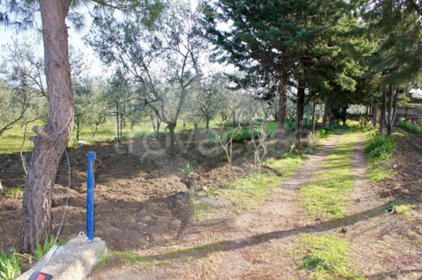 terreno agricolo in vendita a Bitonto in zona Mariotto