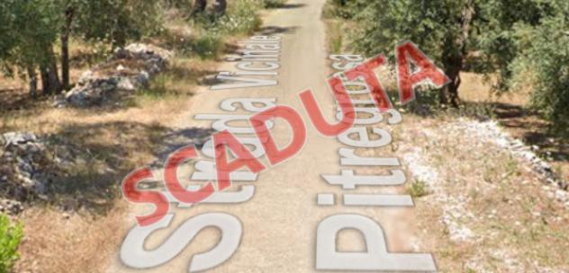 terreno agricolo in vendita a Bitonto