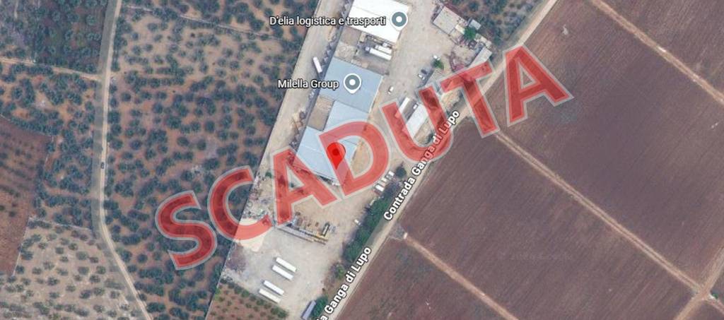 locale commerciale in vendita a Bitonto