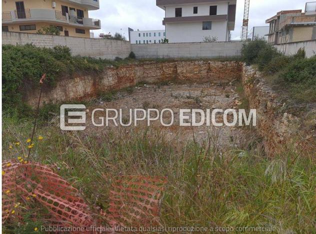 terreno agricolo in vendita a Bitonto