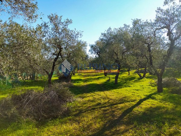 appartamento in vendita a Bitonto