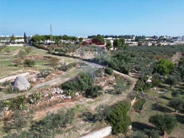 terreno agricolo in vendita a Bitonto in zona Borgo Antico