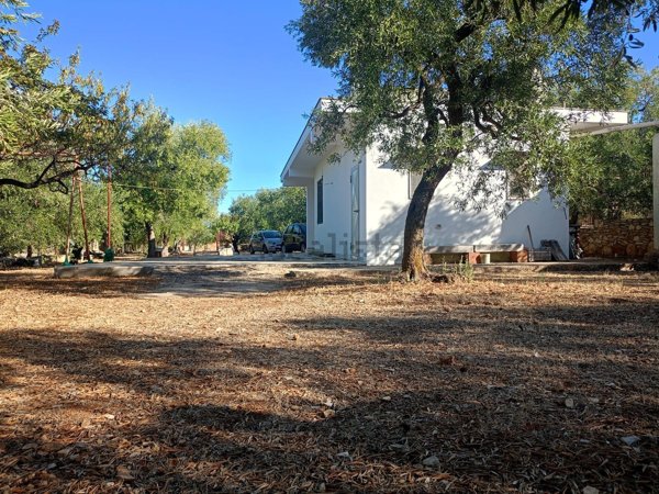 casa indipendente in vendita a Bitonto