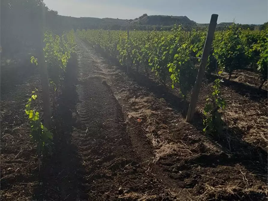 terreno agricolo in vendita a Bitonto