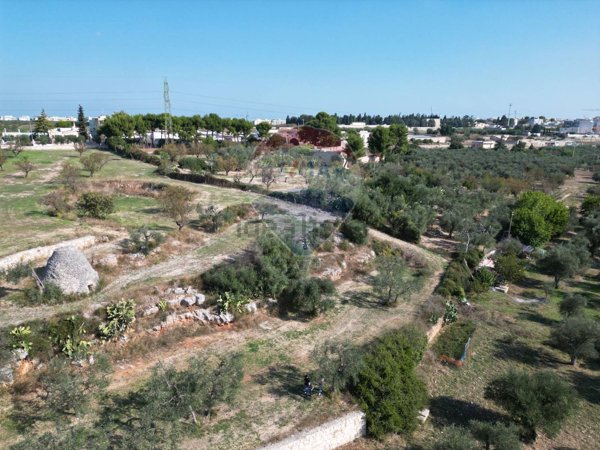 casa indipendente in vendita a Bitonto in zona Borgo Antico