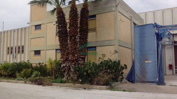 appartamento in vendita a Bitonto