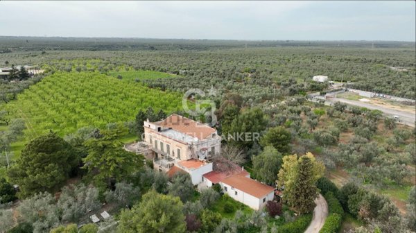 casa indipendente in vendita a Bitonto in zona Palombaio