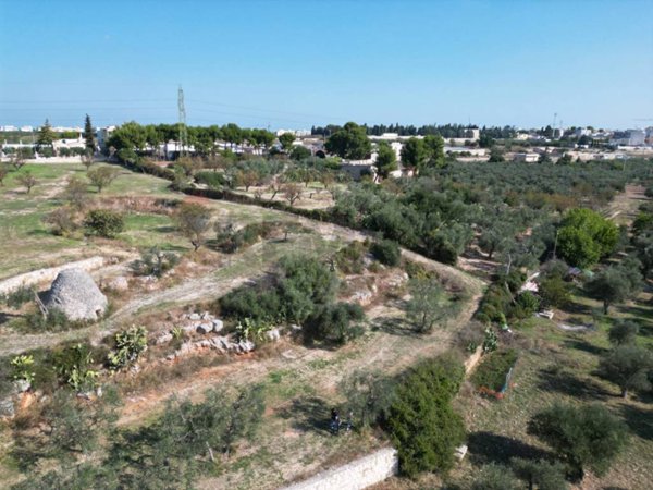 casa indipendente in vendita a Bitonto in zona Borgo Antico