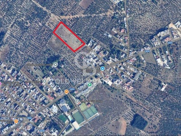 terreno agricolo in vendita a Bitonto in zona Palombaio