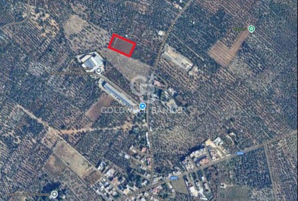 terreno agricolo in vendita a Bitonto in zona Palombaio