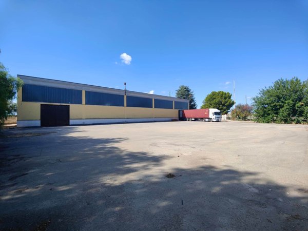 locale commerciale in vendita a Bitonto