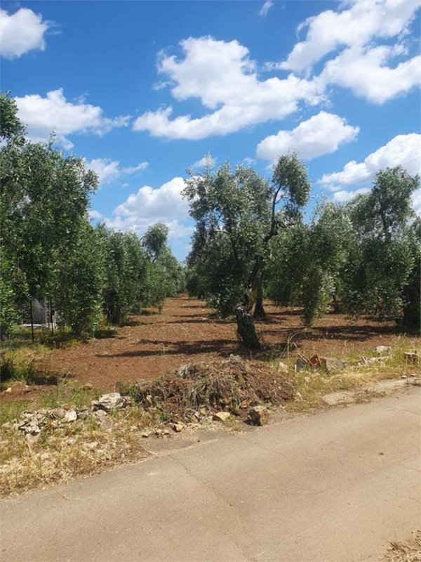 terreno edificabile in vendita a Bitonto in zona Palombaio