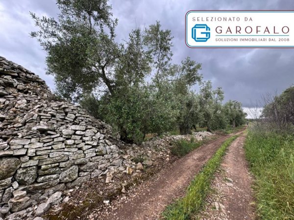 terreno agricolo in vendita a Bitonto