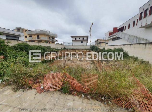 terreno agricolo in vendita a Bitonto