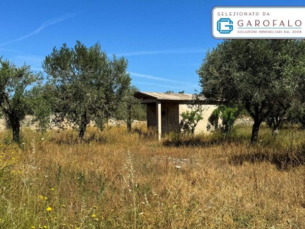 terreno agricolo in vendita a Bitonto