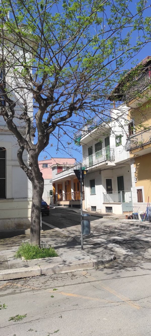 casa semindipendente in vendita a Bitonto in zona Borgo Antico
