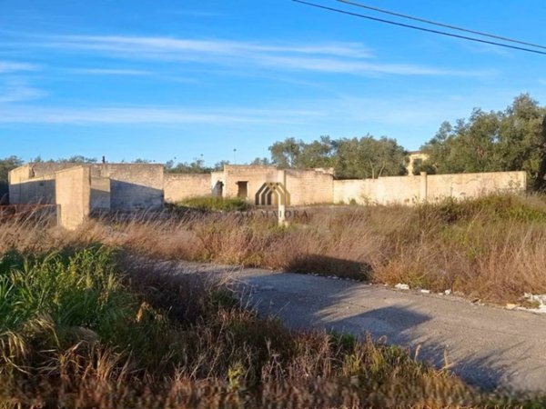 terreno agricolo in vendita a Bitonto