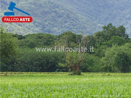 terreno agricolo in vendita a Bitonto