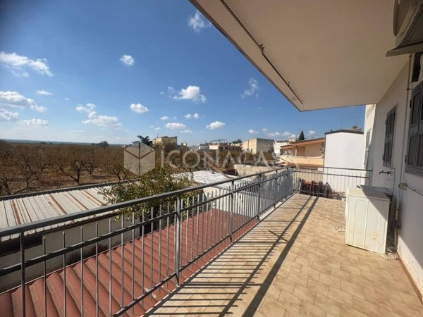 appartamento in vendita a Bitonto in zona Palombaio