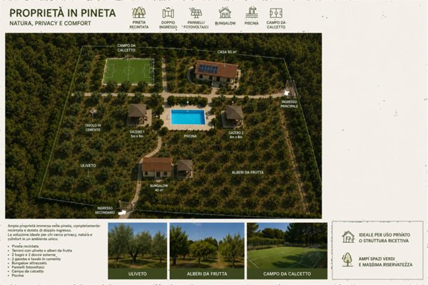 appartamento in vendita a Bitonto