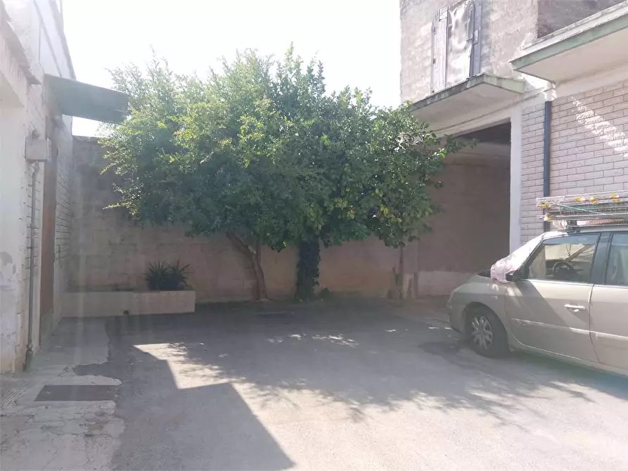 appartamento in vendita a Bitonto