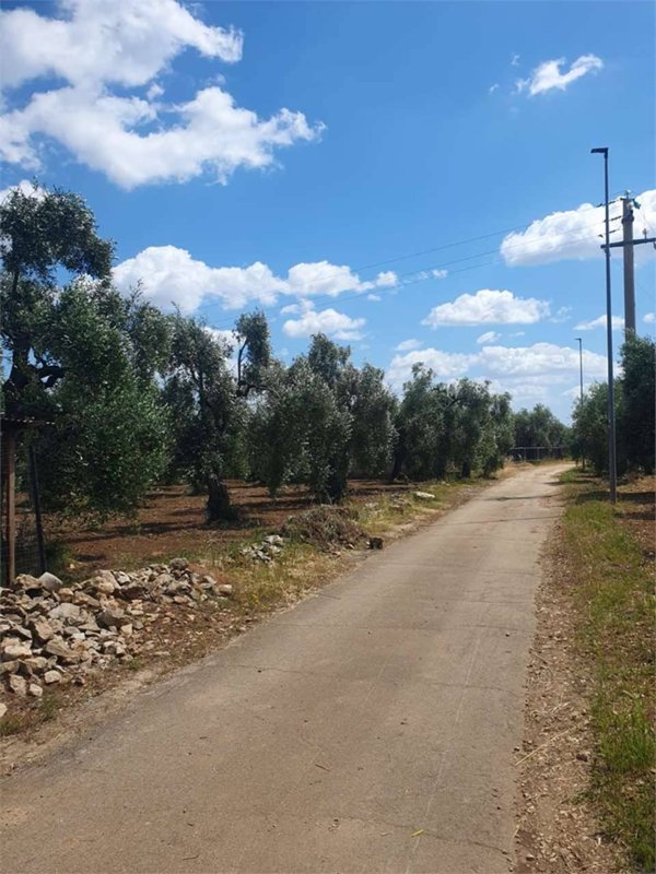 terreno in vendita a Bitonto in zona Palombaio