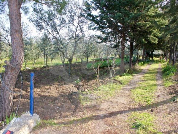terreno in vendita a Bitonto in zona Mariotto