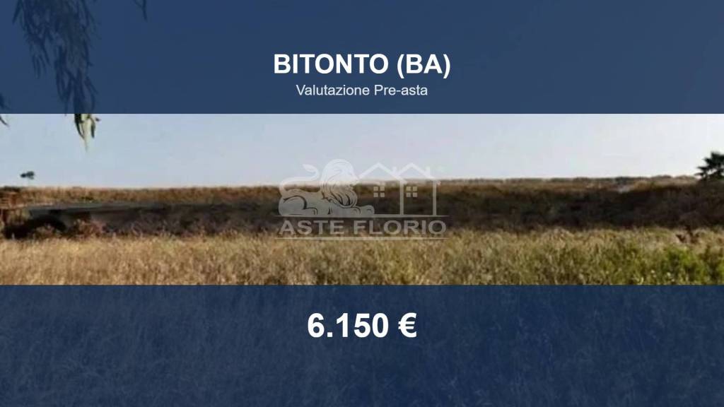 terreno in vendita a Bitonto