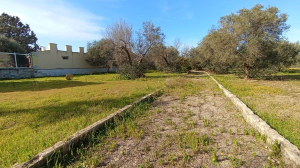 terreno in vendita a Bitonto