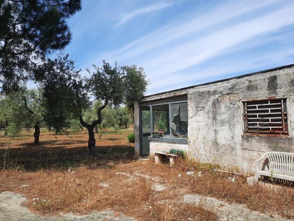 appartamento in vendita a Bitritto