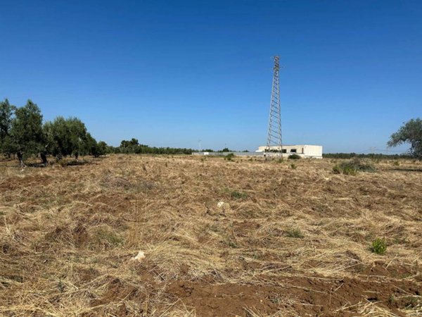 terreno agricolo in vendita a Bitritto