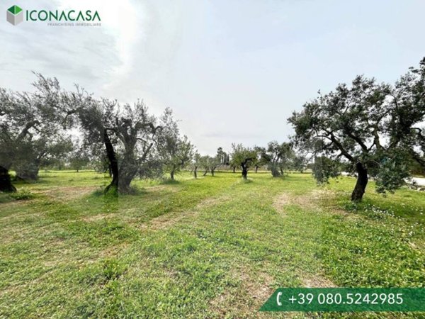 terreno agricolo in vendita a Bitritto