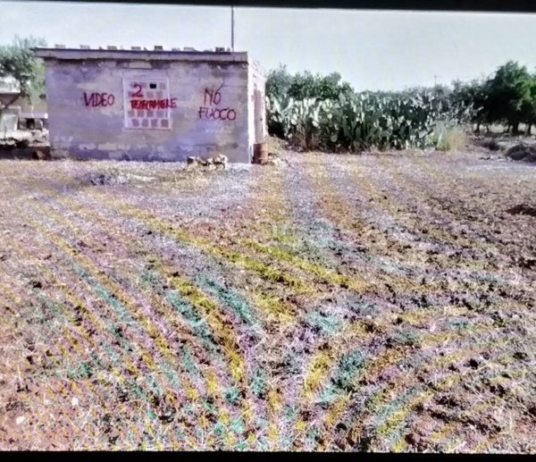 terreno agricolo in vendita a Bitritto