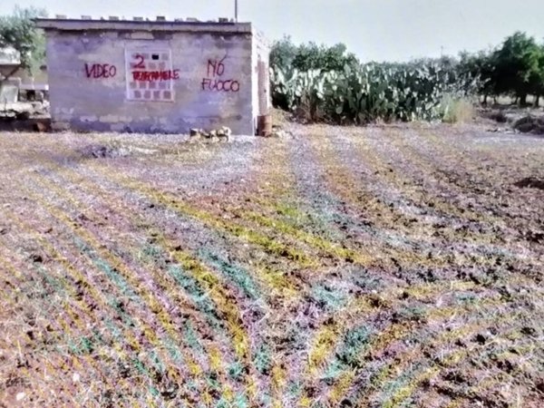 terreno agricolo in vendita a Bitritto