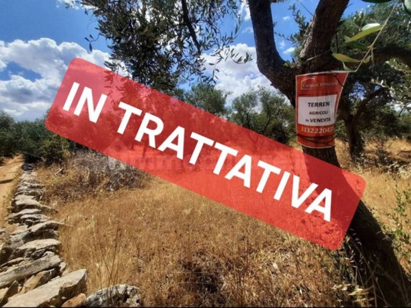 terreno agricolo in vendita a Bitritto