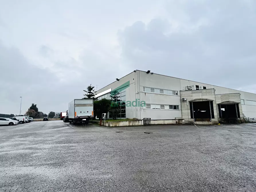 terreno edificabile in vendita a Bitritto