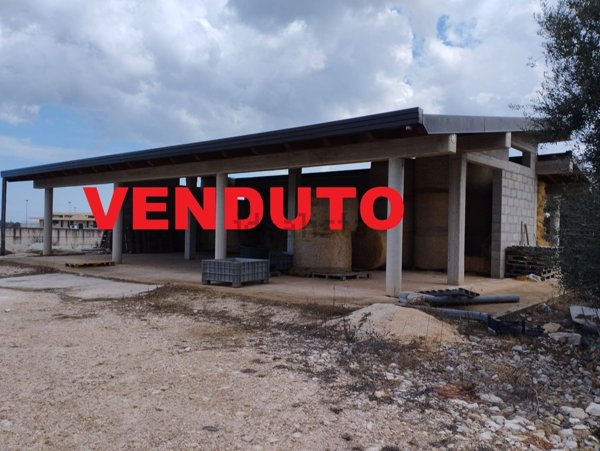 villa in vendita a Bitritto