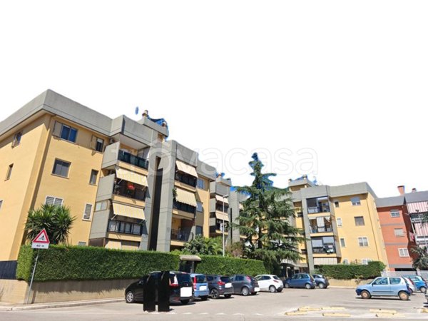 appartamento in vendita a Bitritto