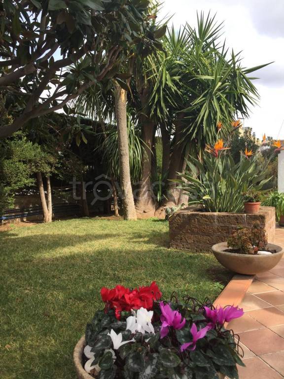 casa indipendente in vendita a Bitritto