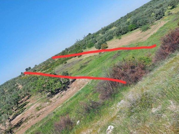 terreno agricolo in vendita a Bitritto