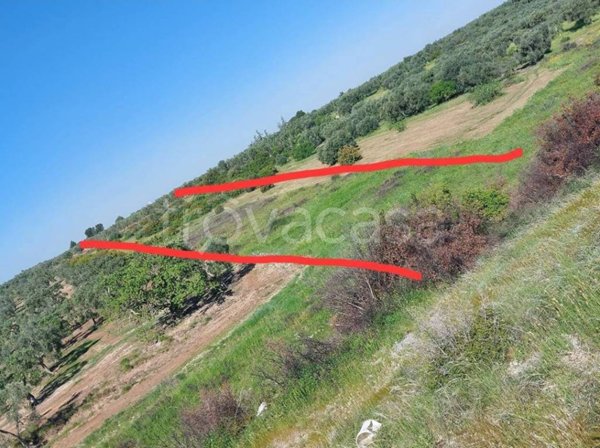 terreno agricolo in vendita a Bitritto