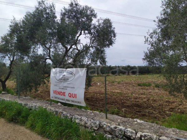 terreno agricolo in vendita a Bitritto