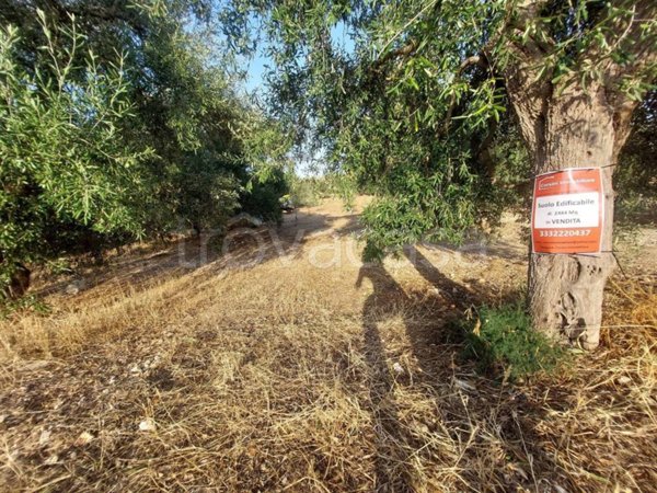 terreno agricolo in vendita a Bitritto
