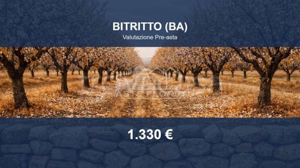 terreno agricolo in vendita a Bitritto