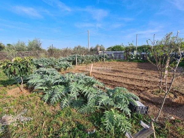 casa indipendente in vendita a Capurso