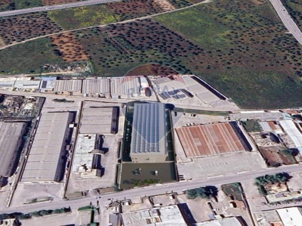 terreno agricolo in vendita a Capurso