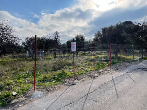 terreno agricolo in vendita a Capurso