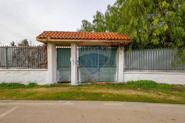 esavano in vendita a Capurso