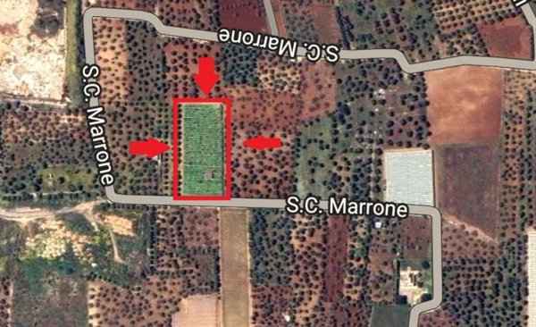 terreno agricolo in vendita a Capurso