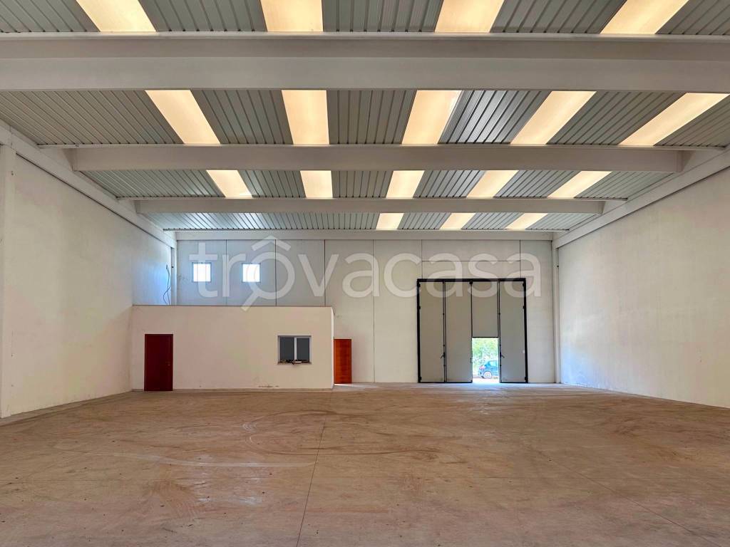 appartamento in vendita a Capurso